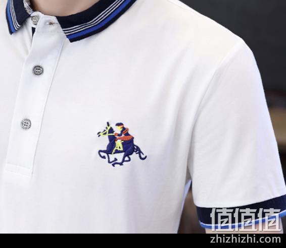 4.9分：耐喜路 男士短袖polo衫 券后59元包邮（长期159元） 值值值-买手聚集的地方