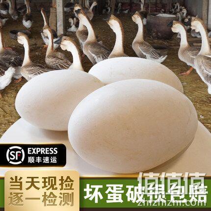 当天生产！ 苏梵 农家散养 鹅蛋12枚 券后69元包顺丰 值值值-买手聚集的地方