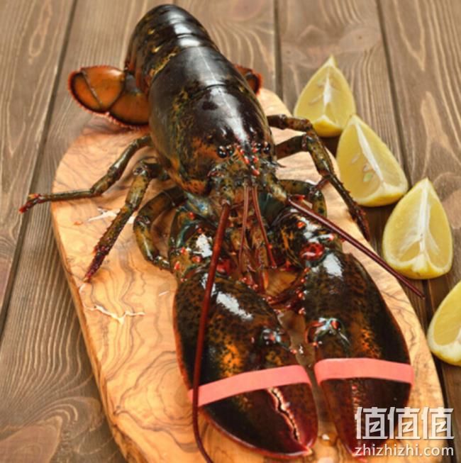 wecook 味库 波士顿龙虾 450-550gx2只装 179元包邮 值值值-买手聚集的地方