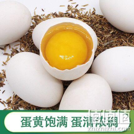 农场直发，王子的零食 农家散养 鹅蛋6个 券后19.9元包邮 值值值-买手聚集的地方
