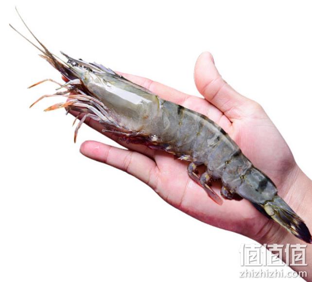 爆降50元 BAP认证：国联 越南黑虎虾 大号 400gx4件 Plus券后119.68元包邮（上次推荐价169.9元） 值值值-买手聚集的地方