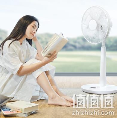 1个月1度电，网易严选 变频直流 落地扇 199元 值值值-买手聚集的地方