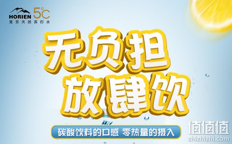 地理标志保护产品、0脂0卡0糖：500mlx15瓶 HORIEN 活力恩 5°C 柠檬味苏打水含气果味饮料 39.9元包邮（线下120元） 值值值-买手聚集的地方