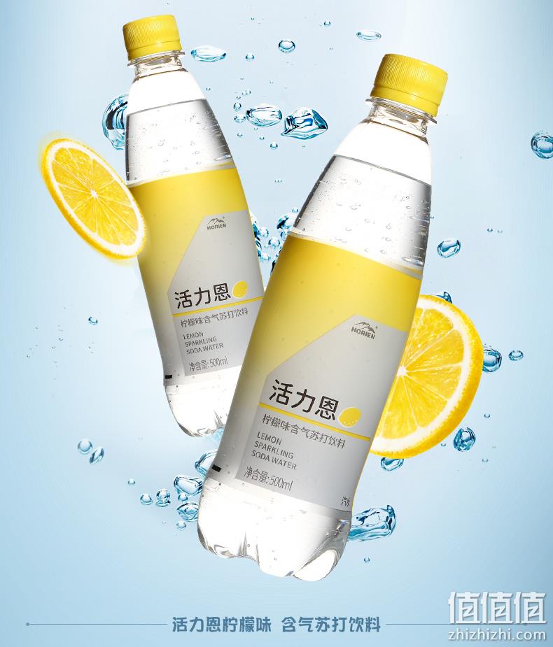 地理标志保护产品、0脂0卡0糖：500mlx15瓶 HORIEN 活力恩 5°C 柠檬味苏打水含气果味饮料 39.9元包邮（线下120元） 值值值-买手聚集的地方