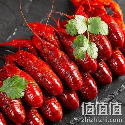 净虾2斤 ，湖中醉 活虾秘制 十三香麻辣小龙虾 49.9元包冷链运输 值值值-买手聚集的地方