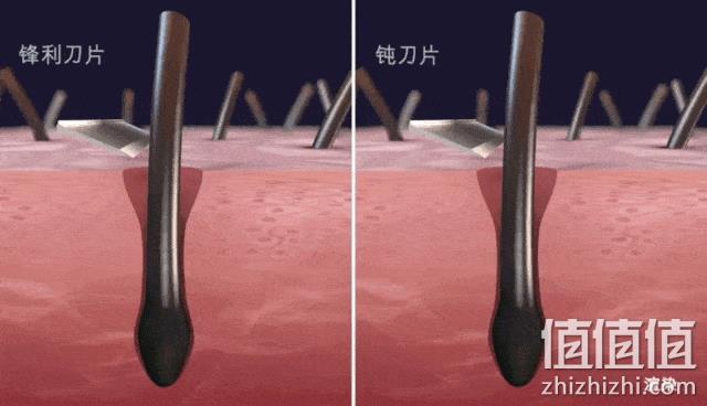Gillette 吉列 锋隐致顺 剃须刀套装  1刀架 1刀头 59.9元 值值值-买手聚集的地方