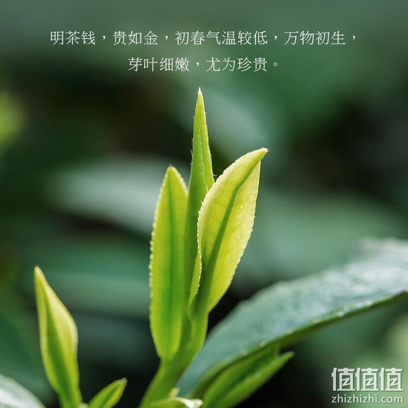 2019年新茶 明前特级!六和塔 西湖龙井 50g 券后78元包邮 值值值-买手聚集的地方