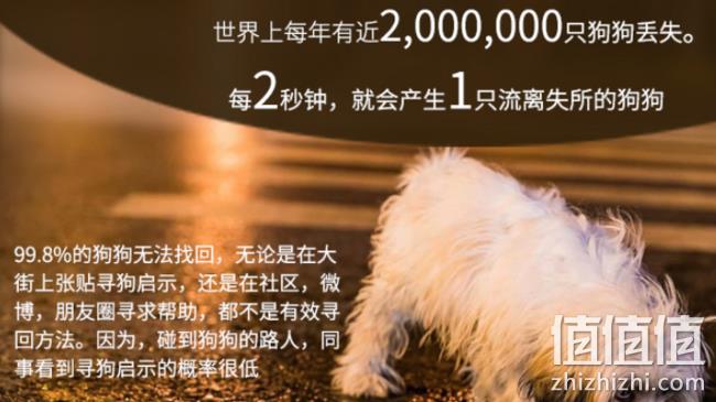 《一条狗的使命》电影联名款，金豫达 宠物防丢失 身份牌 券后9元包邮（专柜49元） 值值值-买手聚集的地方