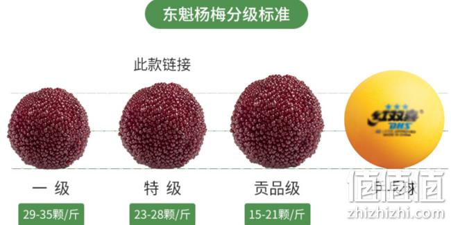 当季水果，妙穗 浙江台州 东魁 特级杨梅 6斤 券后138元包顺丰冷链 值值值-买手聚集的地方