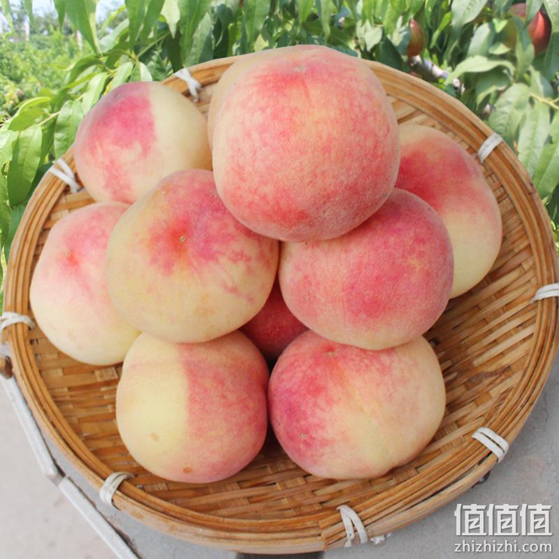 现摘现发：帮农日记 现摘 水蜜桃 5斤 券后15.8元包邮 值值值-买手聚集的地方