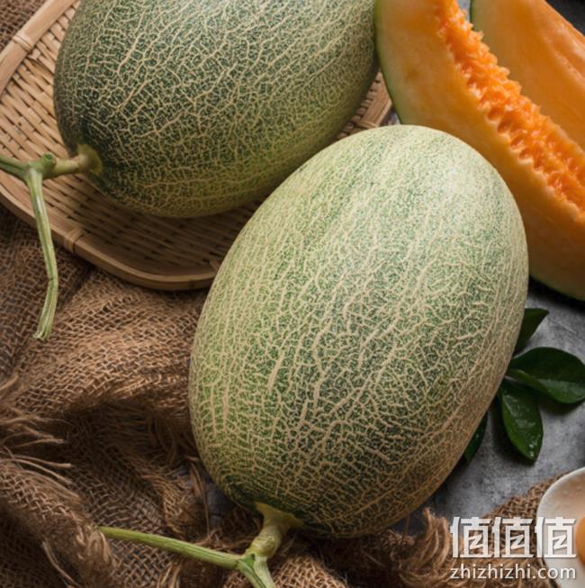 单果1.5kg以上x2粒装，京觅 西州蜜瓜25号哈密瓜 49.9元，可优惠至24.95元 值值值-买手聚集的地方