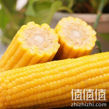 非转基因，李豫龙 东北 黄糯玉米 220gx10根 真空装 券后26.8元包邮 值值值-买手聚集的地方