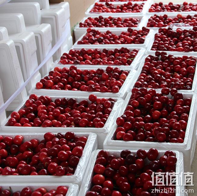 逸知鲜 大连 樱桃5斤 双重优惠99元包顺丰冷链 值值值-买手聚集的地方