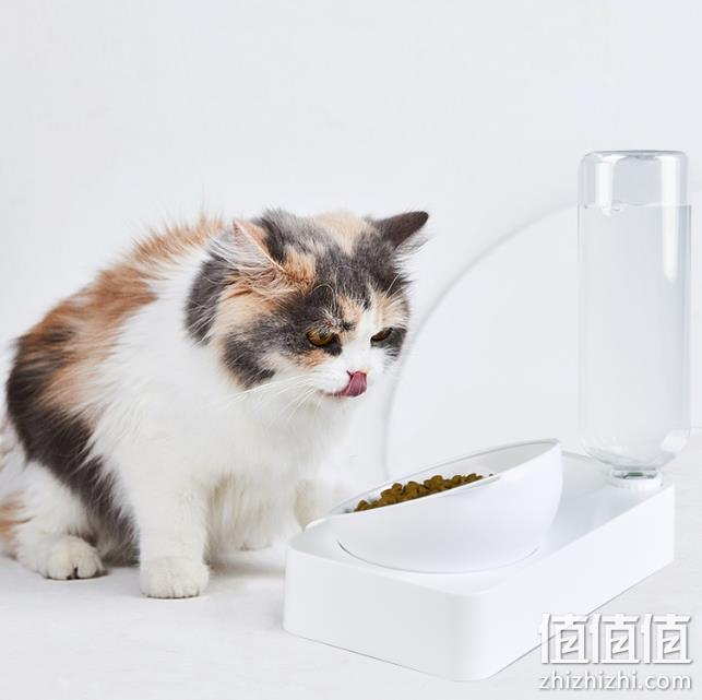 莱克托尼 双碗 宠物饮水喂食盆 券后9.9元包邮 值值值-买手聚集的地方