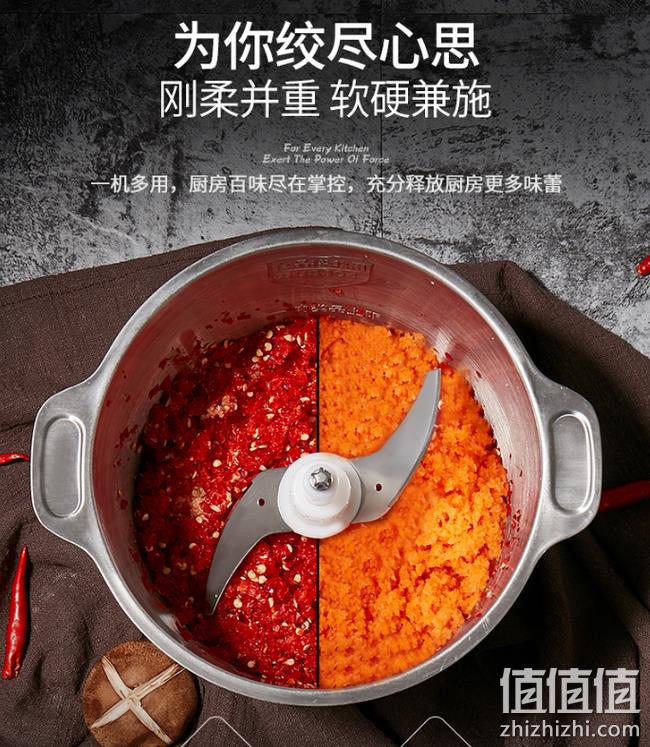 调料,肉类都可以绞:志高 不锈钢自动绞肉机 3L 券后79元包邮 值值值-买手聚集的地方