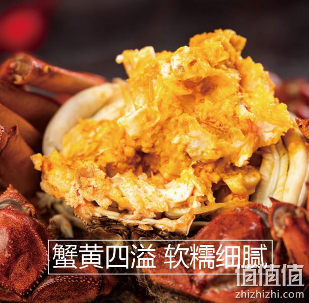 死蟹包赔 14只：东北鲶鱼沟 有机大闸蟹 提货券 1.2-1.5两 券后98元包邮 值值值-买手聚集的地方