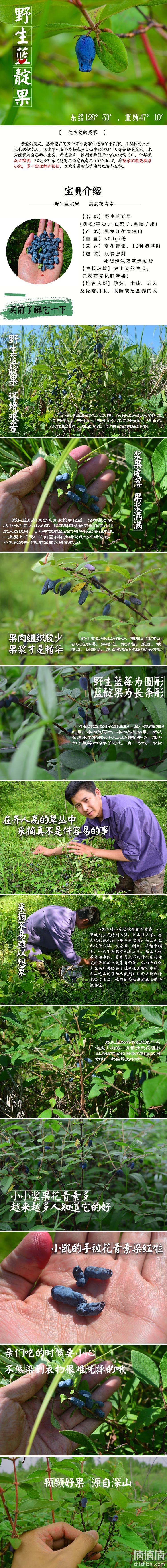 不加一滴水、一滴果汁！19年新款 伊春新鲜野生蓝靛果 500g 55元包邮 值值值-买手聚集的地方