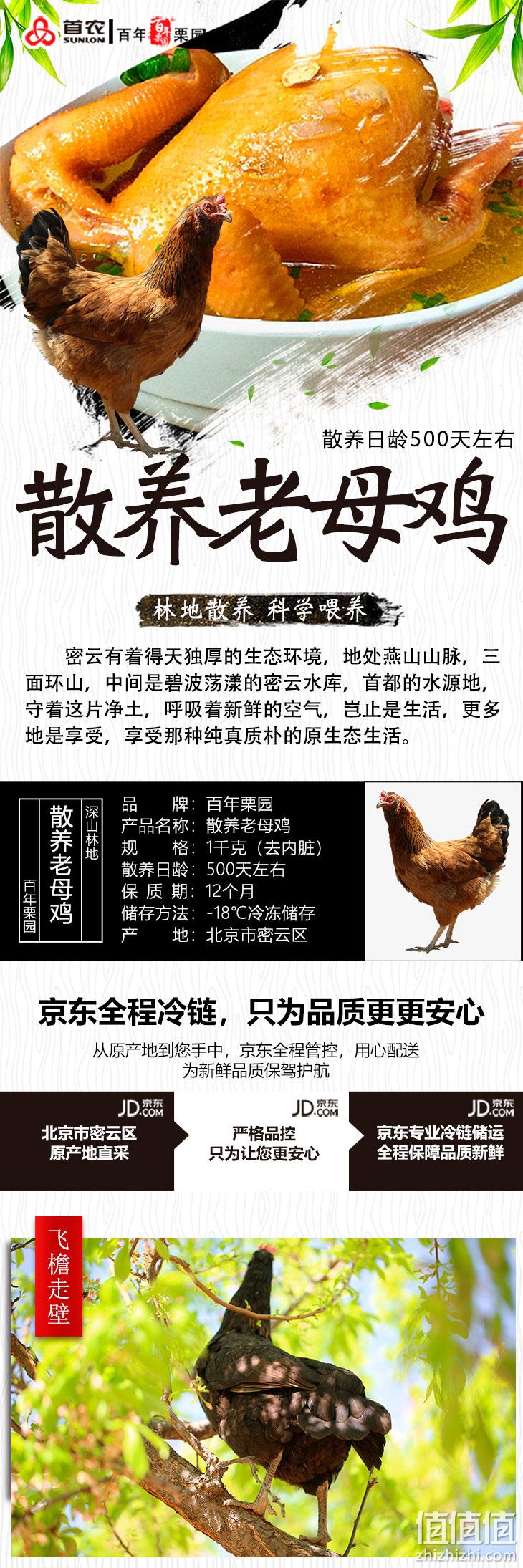 百年栗园 密云水库散养老母鸡 1000gx4件 139.6元（合34.9元/件） 值值值-买手聚集的地方