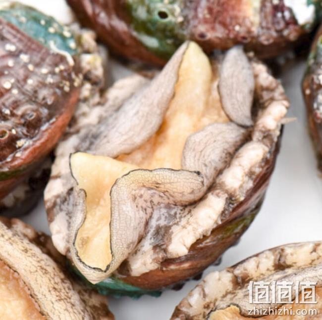 wecook 味库 鲍鱼 500g 10-12头 104元,可最低做到52元 值值值-买手聚集的地方
