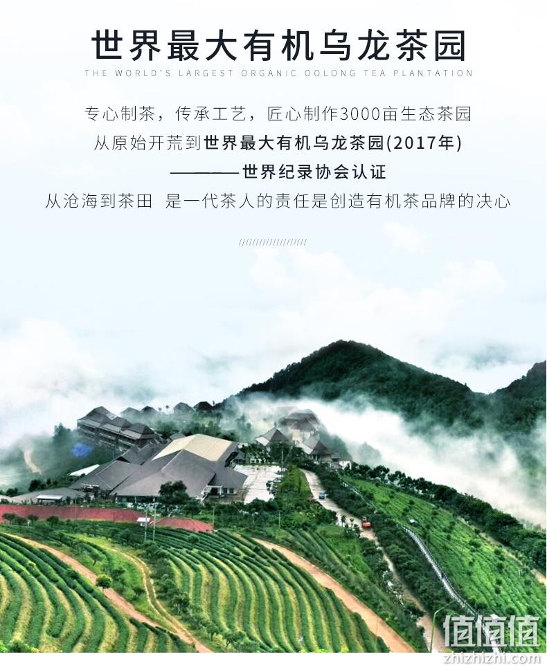 四国有机认证！芯仙茗堂 东方美人高山有机乌龙茶 50g 券后48元包邮（上次70元） 值值值-买手聚集的地方