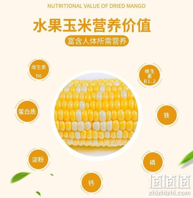 甘肃原产地、现摘直发:9根 兰园芳莲 水果甜玉米 券后16.9元包邮(市场价42元) 值值值-买手聚集的地方