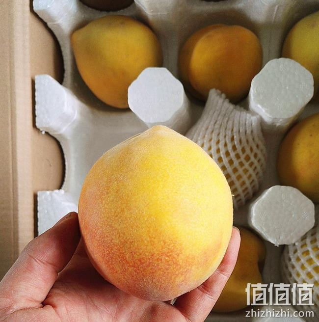 4.8分：云耕东犁 山东武台黄桃 带箱9-10斤 券后24.8元包邮 值值值-买手聚集的地方
