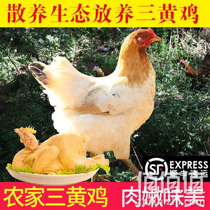 态谷食代 生态散养 襄阳三黄鸡 2只 共2500g 69元包邮 值值值-买手聚集的地方