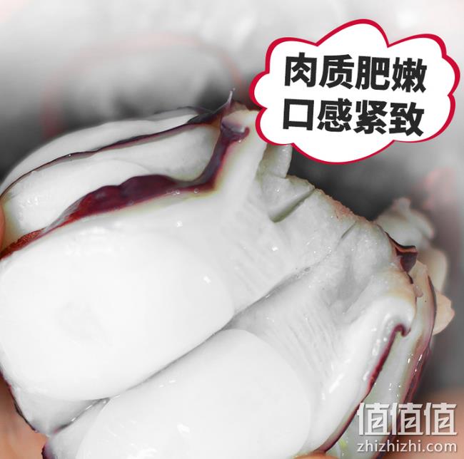 5分 比成人手掌还长 450gx2件:鲸御鲜 鲜活超大章鱼足 双重优惠后69元包顺丰 值值值-买手聚集的地方