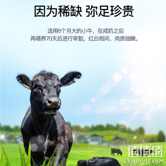 澳洲进口 1.5公斤 悦典 原切战斧牛排 券后249元冷链运输 附实图（专柜599元） 值值值-买手聚集的地方