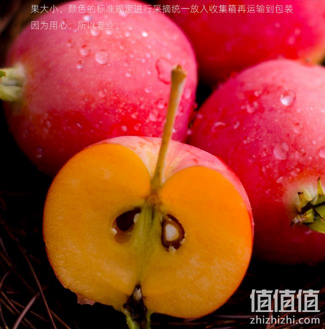 邮费都不够!5斤,内蒙古特产 粤吉荔 沙果 券后26.8元顺丰包邮 值值值-买手聚集的地方