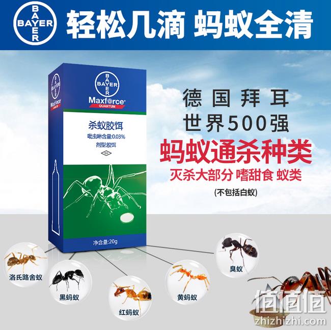 连环灭杀各种蚂蚁：Bayer 拜耳 拜灭易 杀蚂蚁胶饵 20g 券后19.9元包邮 值值值-买手聚集的地方