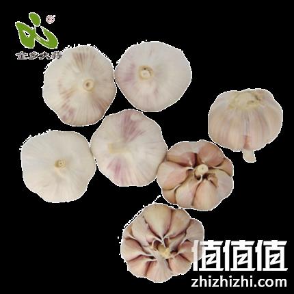 金乡大蒜 5斤净含量 21.8元包邮 值值值-买手聚集的地方