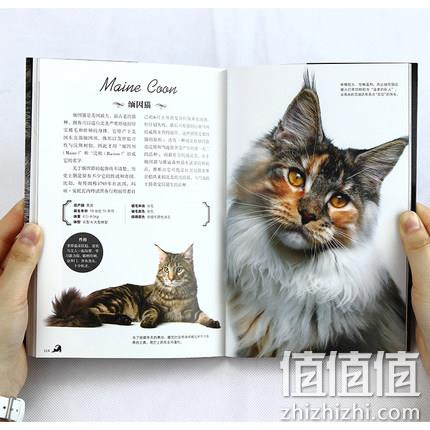 《猫》48种世界名猫图鉴 19.9元包邮（长期23.9元） 值值值-买手聚集的地方