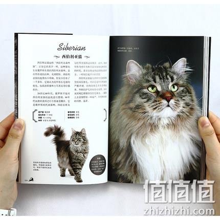 《猫》48种世界名猫图鉴 19.9元包邮（长期23.9元） 值值值-买手聚集的地方