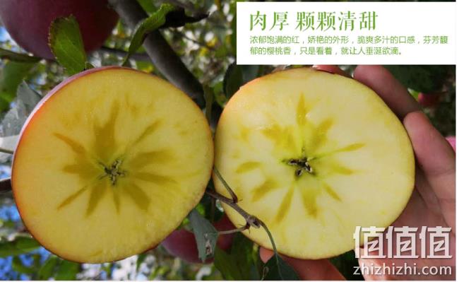 冰糖心红富士大苹果应季现摘带箱10斤 券后23.8元包邮 值值值-买手聚集的地方