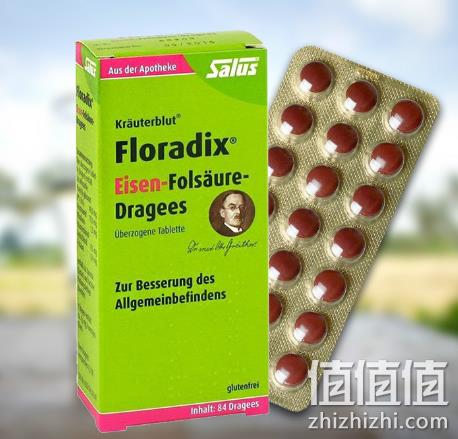 5小时结束：Salus Floradix 铁元补血补铁片剂 84粒 16欧元约￥125 值值值-买手聚集的地方