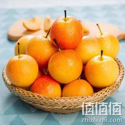 天鹰 鞍山新鲜南果梨  5斤带箱 券后8.9元包邮 值值值-买手聚集的地方