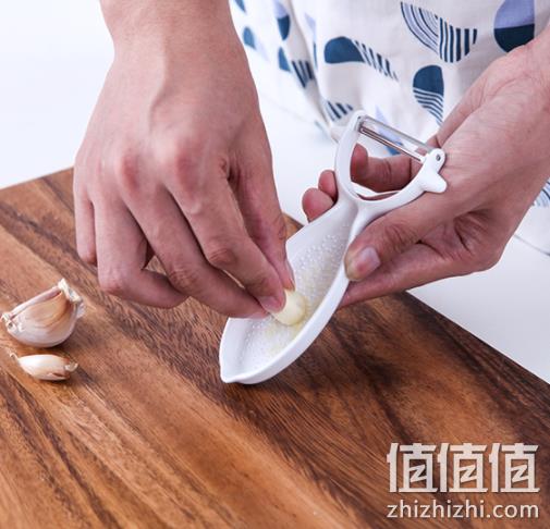 小编已下单，PEARL LIFE 珍珠生活 GP-1563 削皮器  9.9元包邮 值值值-买手聚集的地方