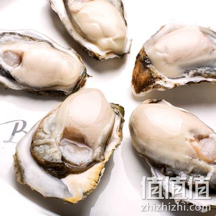 70g-90g/只，农圣庄园 鲜活乳山生蚝 5斤 券后30元包邮 值值值-买手聚集的地方