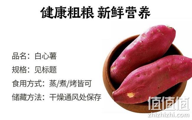 静益乐源 商署白心红薯 10斤 券后18.9元到手 值值值-买手聚集的地方