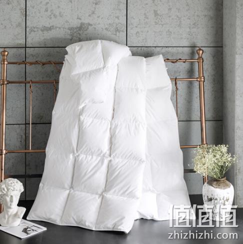 填充1.1kg50%白鹅绒，鸿润家纺 羽绒双人被芯 200*230cm 556元 值值值-买手聚集的地方