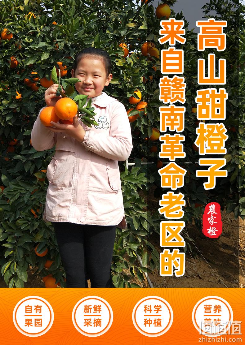 鲜维佳 赣南脐橙 5斤 12.9元包邮 值值值-买手聚集的地方