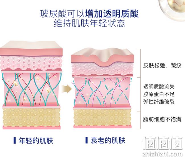 改善皮肤干燥/暗沉/皱纹：Viscontour 玻尿酸精华液30支+爽肤水150ml 券后259元包邮（京东325元无爽肤水） 值值值-买手聚集的地方