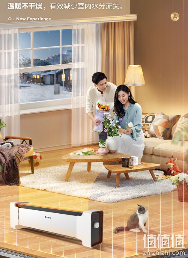 低于双11、整屋升温：Airmate/艾美特 大面积速热地暖式取暖器WD20-X10 新低319元包邮 值值值-买手聚集的地方