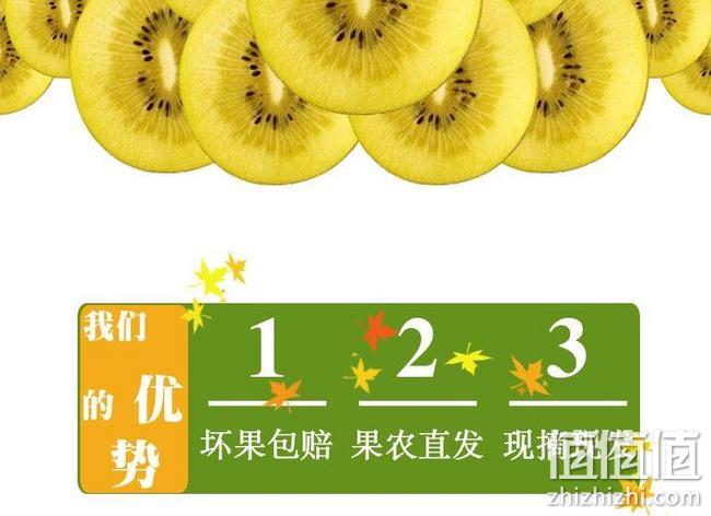 静益乐源 黄心猕猴桃 24个 单果90-110g 拍2件+券后24.8元包邮 值值值-买手聚集的地方