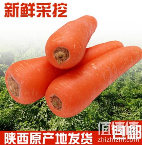 白菜价 10斤，陕西 沙地水果胡萝卜 12.12元包邮  值值值-买手聚集的地方