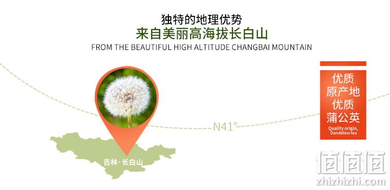 手工炒制、长白山蒲公英、清热解毒：百年修正 50g 蒲公英茶 券后14元包邮 值值值-买手聚集的地方