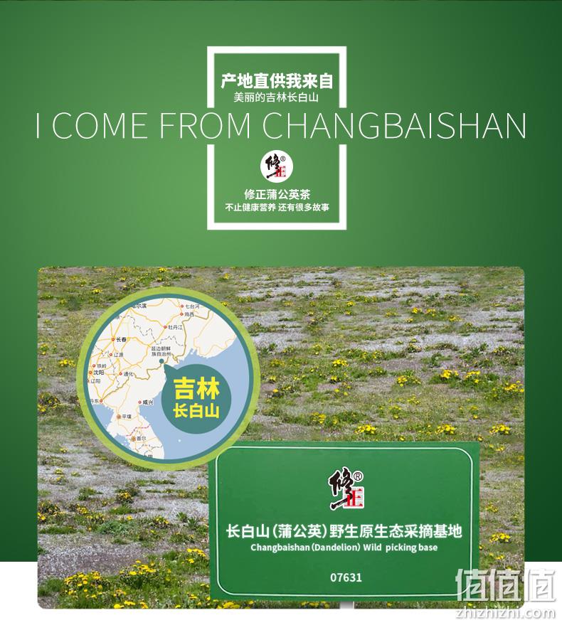 手工炒制、长白山蒲公英、清热解毒：百年修正 50g 蒲公英茶 券后14元包邮 值值值-买手聚集的地方