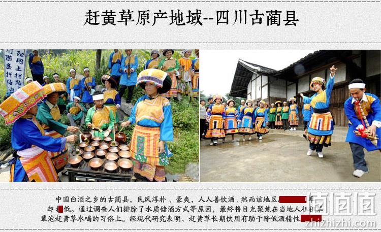 补券！央视报道、苗族民间特产、解酒护肝：32袋 古家 小肝茶 赶黄草茶 券后68元包邮（长期158元） 值值值-买手聚集的地方