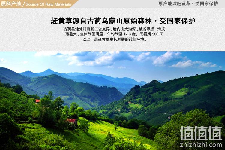补券！央视报道、苗族民间特产、解酒护肝：32袋 古家 小肝茶 赶黄草茶 券后68元包邮（长期158元） 值值值-买手聚集的地方